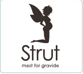 Strut shop