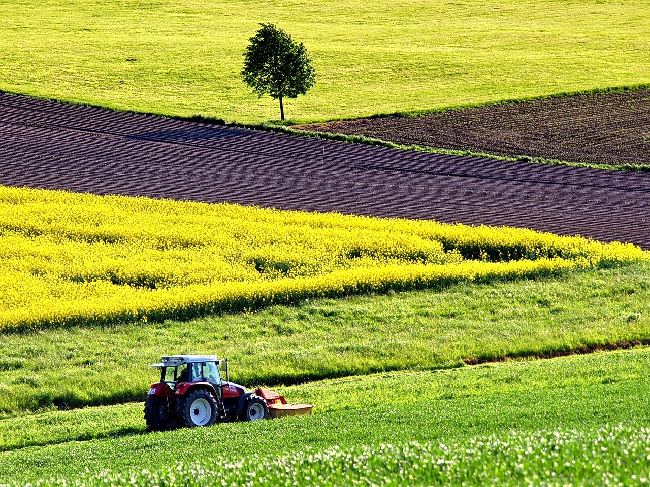 agriculture-1619437_1280.jpg